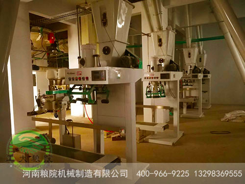 ������ӹ���е�ֳ�ͼ